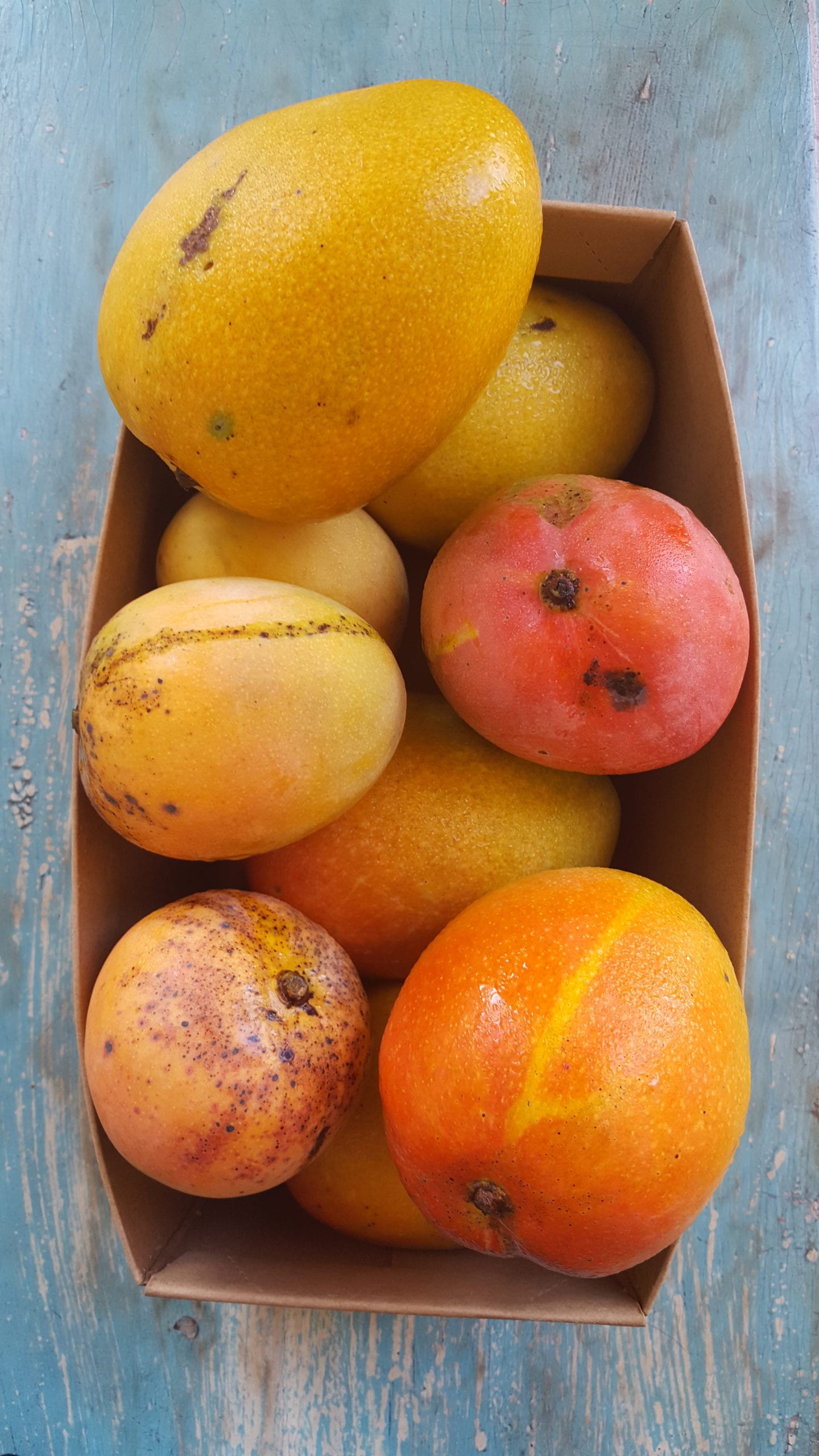 Different types of mango