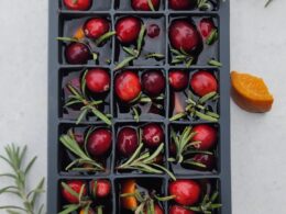 literally the yummiest holiday ice cubes for christmas morning! or any day  really 😛 you'll need square trays, cranberries, rosemary and…