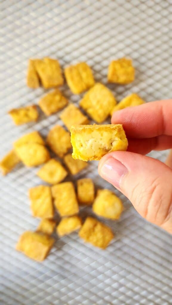 Air Fryer Tofu one piece close-up