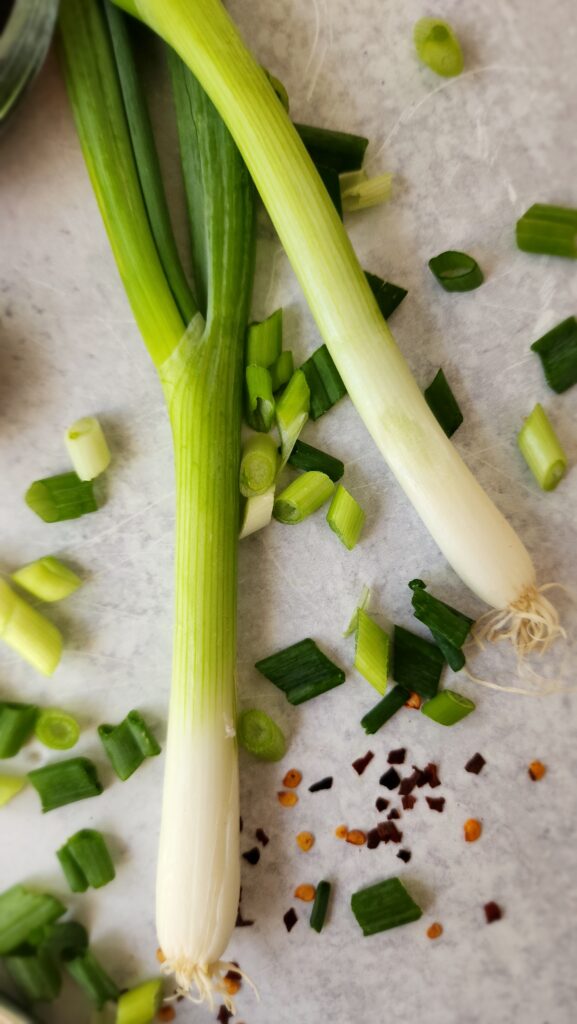 Sesame-Ginger Sauce Ingredients close-up green onion