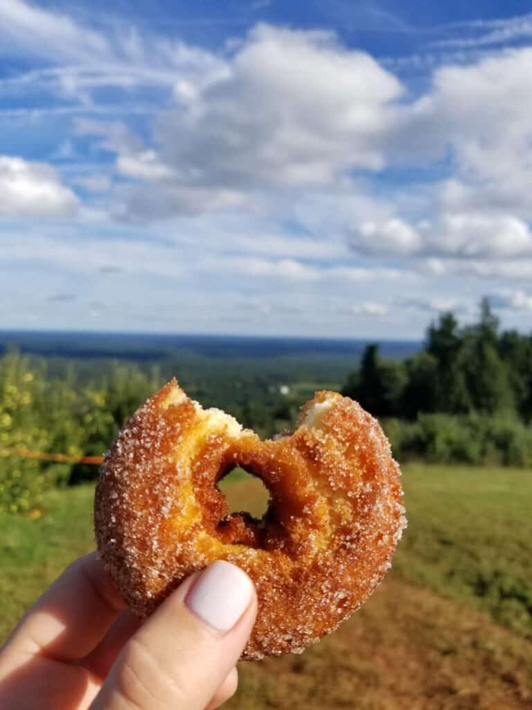 Apple Cider Donut (apple season)